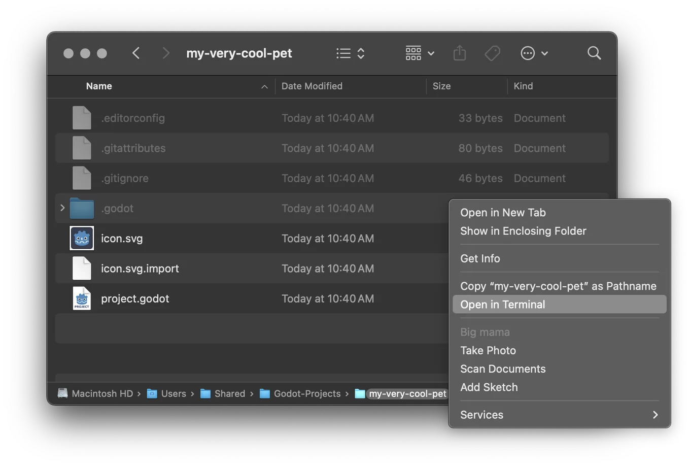 A Finder window of the my-very-cool-pet folder. The folder is right-clicked in the path bar at the bottom, and Open in Terminal is highlighted in the menu.